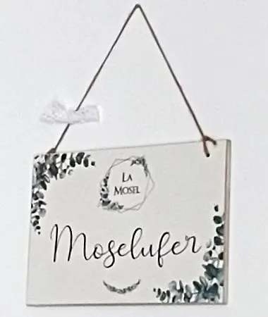 Moselufer Traumwohnung Im „la Mosel“