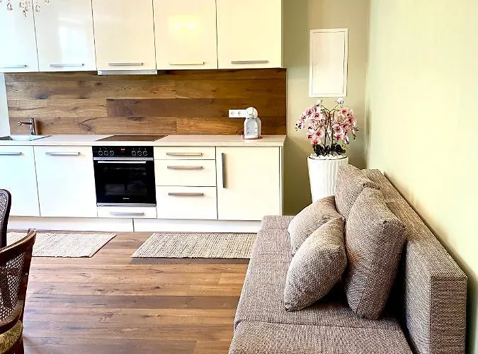 Moselufer Traumwohnung Im „la Mosel“ Apartament *